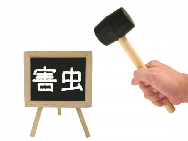 �����Q���쏜